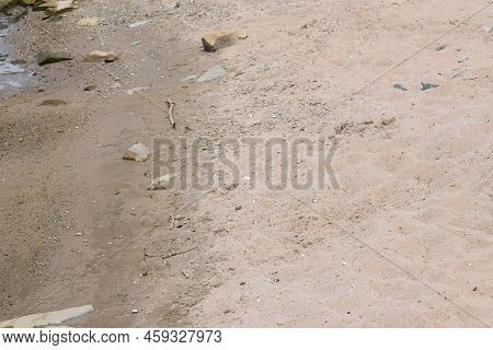 Sandy Rhine Beach In A Dry Hot Summer