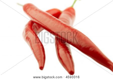 Pepř