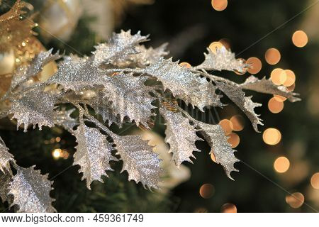 The Imgae Of Christmas At Hong Kong  26 Dec 2011