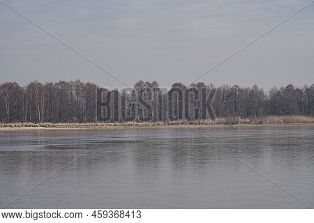 Forest Reflected In Waters Of Breeding Pond In European Goczalkowice Town At Silesian District In Po