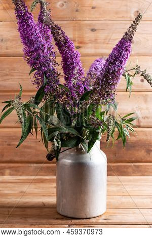 Close Up View Of Buddleia Or Buddleja (buddleia Davidii) Bloom. Plant Is Commonly Known As The Butte
