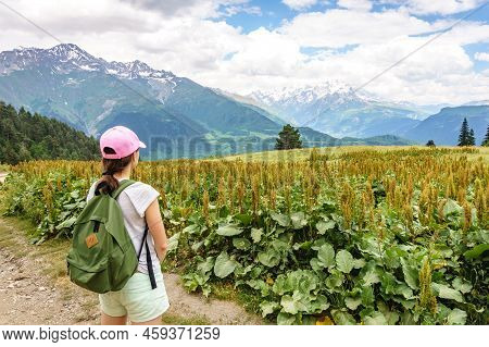 Svaneti Landscape On A Summer Day. Young Tourist Woman With A Backpack Overlooking Caucasus Mountain