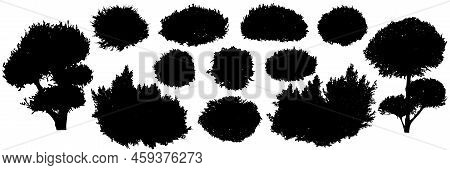 Bush, Bonsai Tree, Set Of Silhouettes. Vector Illustration