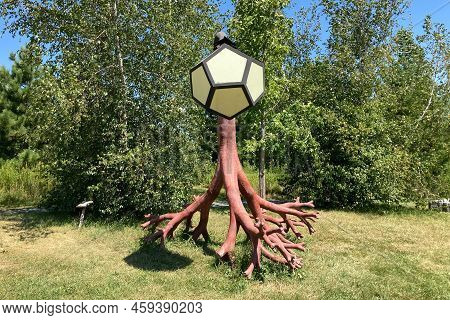 Sapling On The Grounds Of Franconia Sculpture Park