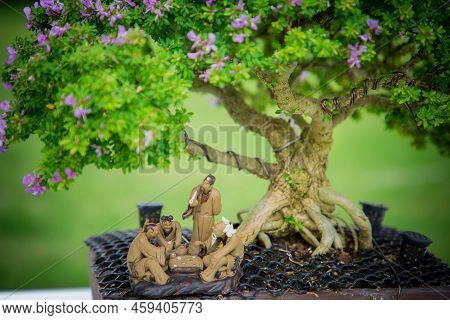 Mini Bonsai Tree In The Flowerpot On Bonsai Stand A Natural Background