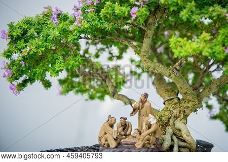 Mini Bonsai Tree In The Flowerpot On Bonsai Stand A Natural Background