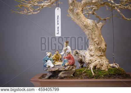 Mini Bonsai Tree In The Flowerpot On Bonsai Stand A Natural Background