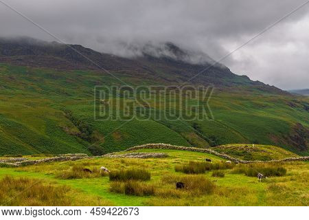 View Of The Hardknott Roman Fort , Archeological Site, The Remains Of The Roman Fort Mediobogdum. La