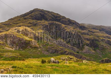 View Of The Hardknott Pass, Hill Pass Between Eskdale And The Duddon Valley In The Lake District Nat