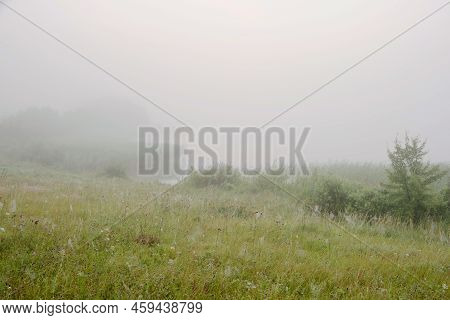 Serene Landscape In The Fog - The Shores Of Lake Otolovo In Belarus