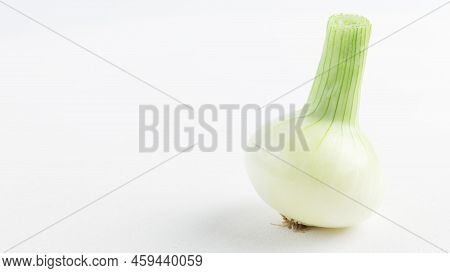 Onion Bulb Spinning On White Background, Loopable Close-up