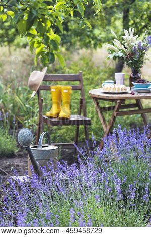 Garden And Tea Party