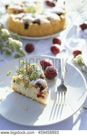 Garden And Tea Party