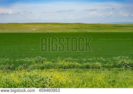 Eco Travel In Georgia In Green Fields And Mountains Tourism
