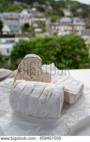 French Cheeses Heartshaped, Squared And Cylindrical Neufchatel Cow Cheese With Mold On White Paper,