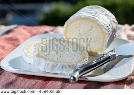 French Cheeses, Cylindrical Neufchatel Cow Cheese With Mold, Neufchâtel-en-bray, Normandy, France