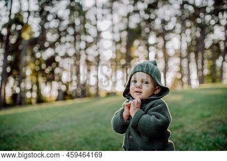 Portrait Of Cute Little Boy Wearing Knitted Hoodie In Nautre, Autumn Concept.