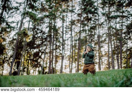 Portrait Of Cute Little Boy Wearing Knitted Hoodie In Nautre, During Sunset, Autumn Concept.