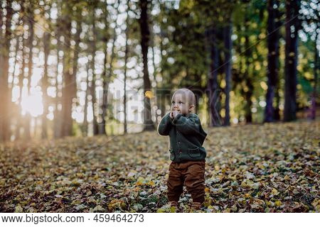 Portrait Of Cute Little Boy Wearing Knitted Hoodie In Nautre, During Sunset, Autumn Concept.