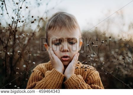 Portrait Of Sad, Worried Little Boy Wearing Knitted Sweater In Nautre, Autumn Concept.