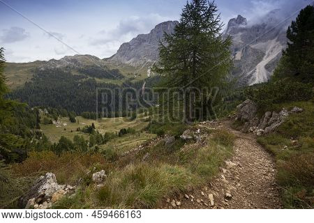 Hiking Trail In The Mountains