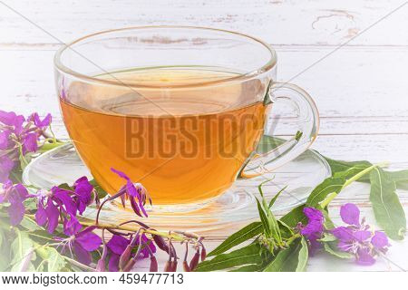 Still Life Of Ivan-tea Hot Drink Or Fireweed Herbal Tea In Glass Cup With Fresh Purple Fireweed Flow