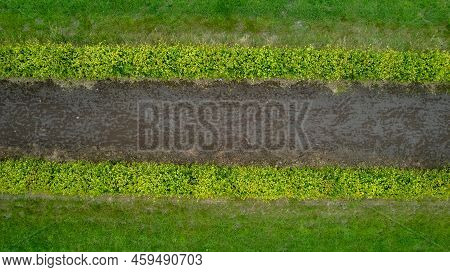 Garden Detail In Aerial View With Sand Path Going Between Two Hedges. High Quality Photo