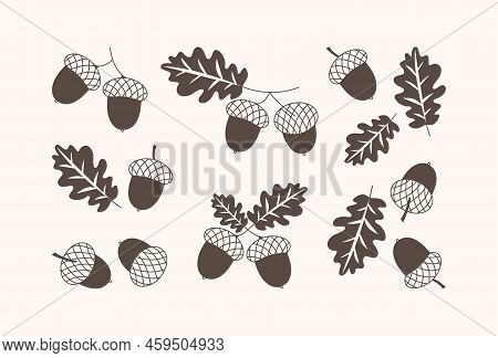 Acorn Vector Icon, Oak Nut, Leaf And Branch, Autumn Or Christmas Decoration Set. Nature Simple Illus