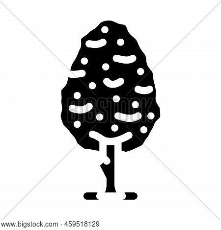 Pear Tree Glyph Icon Vector. Pear Tree Sign. Isolated Symbol Illustration
