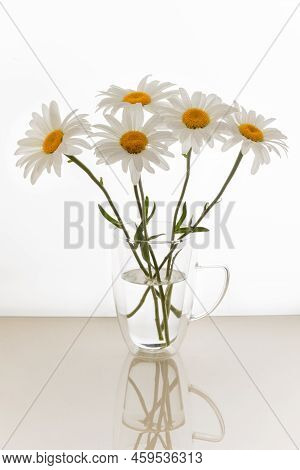 Still Life With A Beautiful Bouquet Of White Chamomile Flowers, A Bouquet Of White Daisies In A Vase