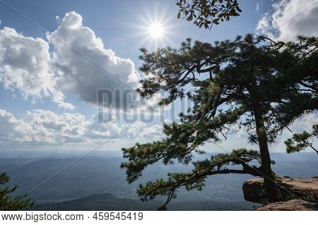 Beautiful Scenery View Of Lomsak Cliff On Phu Kradueng Mountain National Park In Loei City Thailand.
