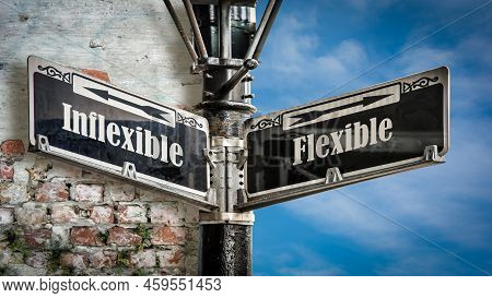 Street Sign The Direction Way To Flexible Versus Inflexible
