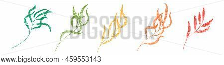 Colorful Willow Leaves. Leaf Sketch. Hand Drawn Vector Illustration. Pen Or Marker Doodle Plant