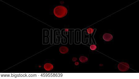 Blood Cells, Erythrocytes, Red Blood Cells, Microbes And Microorganisms, Medicine And Biology, Blood
