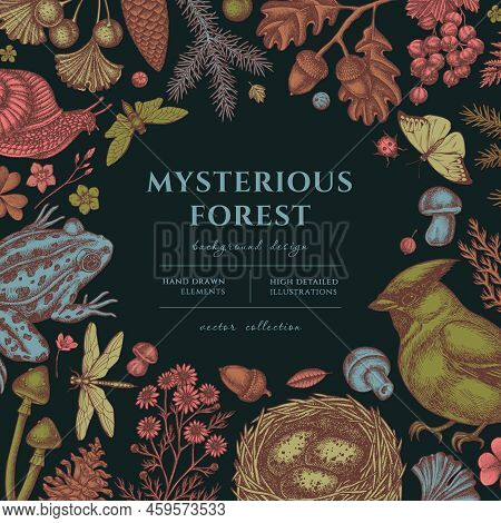 Mysterious Forest Hand Drawn Illustration Design. Background With Vintage Waxwing, Snail, Nest, Pool
