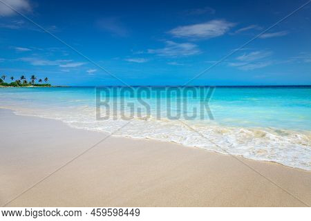 Tropical Paradise: Idyllic Caribbean Beach With Single Palm Tree, Montego Bay, Jamaica