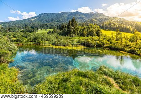 Zelenci Nature Reserve - Blue Natural Lake And Source Of The Sava Dolinka River Near Kranjska Gora, 