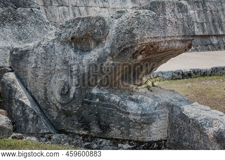 Chichen Itza Kukulcan Snake With Lizard Reptile In The Open Mouth, Ancient Mayan Civilization, Mexic