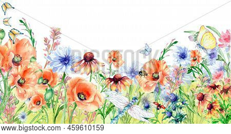 Meadow Orange, Red Flowers Board, Dragonfly, Butterflies Watercolor Illustration Isolated.
