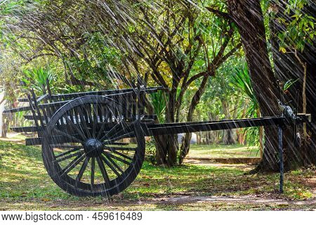 The Black Old Cart Made From Wooden That Is Located On Green Grass In The Public Place In Thailand A