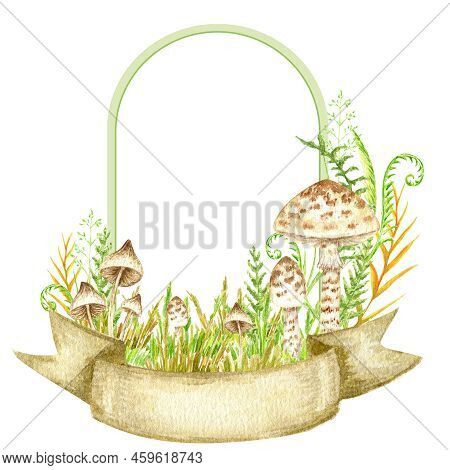 Poisonous Mushrooms Watercolor Frame, Toadstool, Inedible Toxic Mushroom With Ribbon Banner, Fly Aga