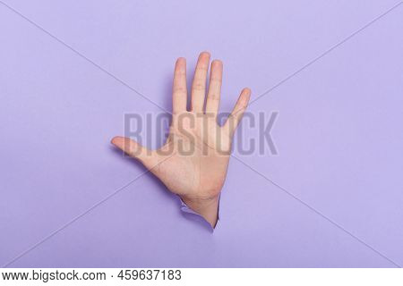 Photo Of Person's Hand Breaking Through A Hole In Purple Paper, Showing Five Fingers, Gesturing High