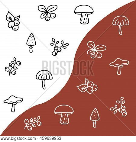 Forest Berries And Mushroom Flat Line Icons Set. Fresh Berries Raspberry, Lingonberry, Blueberry, Bl