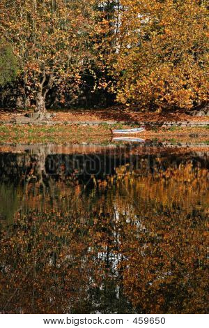 Herbst-Szene