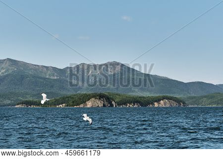 Chivyrkuisky Bay Of Lake Baikal. Bolshoy Kyltygey Island, Shaggy Or Lokhmatyy. Zabaikalsky National 