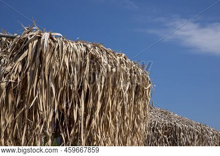 Umbrella Made From Palm Tree Leaves At The Beach