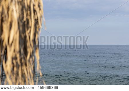 View At Sea From The Beach With Palm Tree Umbrella. Focus On The Water. Copy Space, Add Text