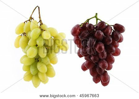 Druivenmost geïsoleerd op wit