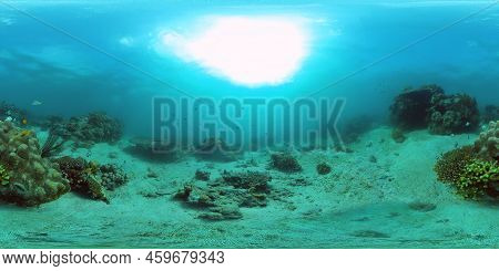 Coral Reef Underwater With Fishes And Marine Life. Coral Reef And Tropical Fish. Philippines. Virtua