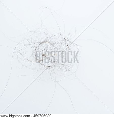 Fallen Hair On The White Background. Baldness And Hair Loss Problem